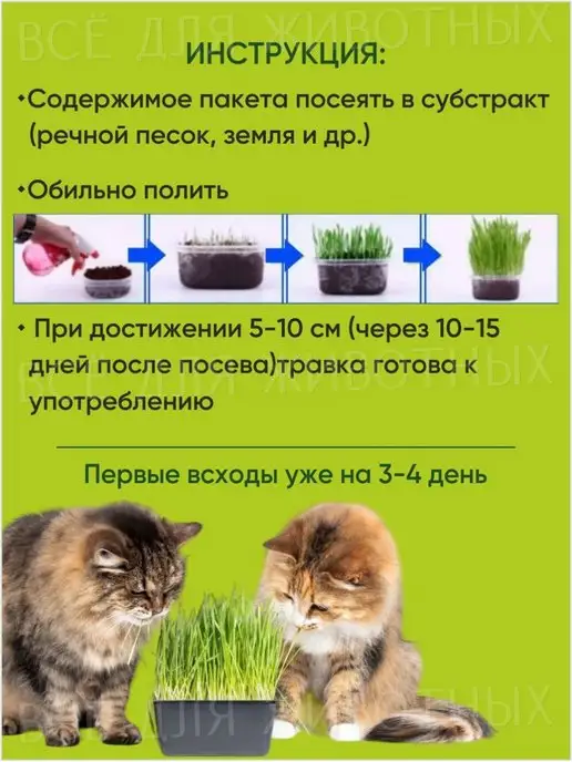Альпийские луга Травяные смеси для кошек для проращивания, 100г, 100 г, фото 6
