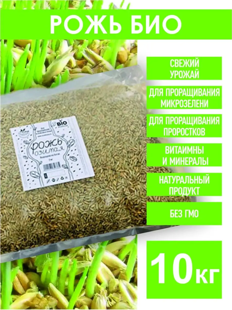 Рожь озимая семена ржи 10 кг. Склад Полезных Продуктов 144905703 купить за  708 ₽ в интернет-магазине Wildberries