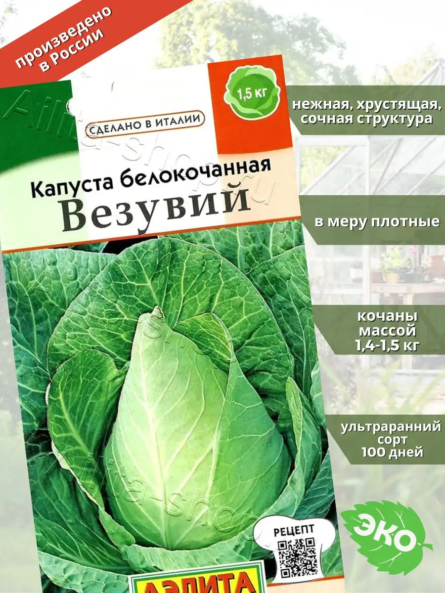 Капуста белокочанная Везувий Агрофирма Аэлита 144906631 купить за 138 ₽ в  интернет-магазине Wildberries