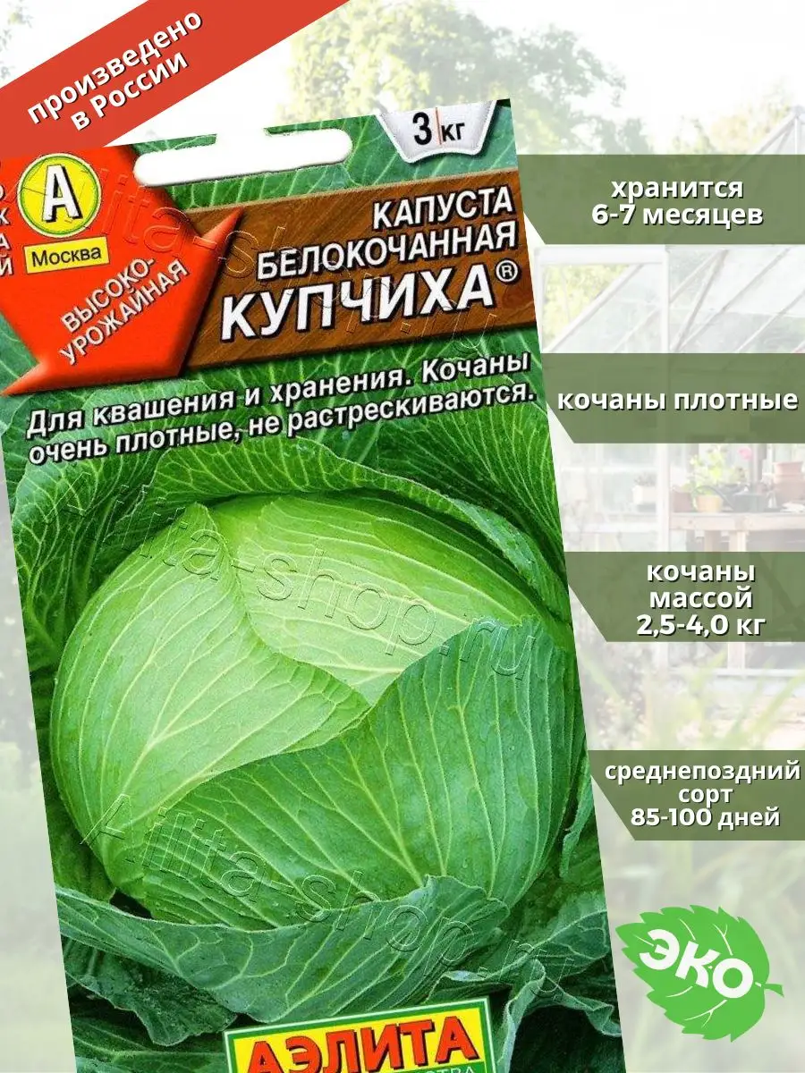 Капуста белокочанная Купчиха Агрофирма Аэлита 144906632 купить за 118 ₽ в  интернет-магазине Wildberries