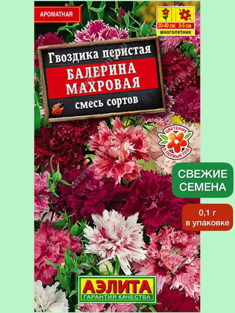 Семена Гвоздика Балерина махровая перистая Агрофирма Аэлита 144926041  купить за 119 ₽ в интернет-магазине Wildberries