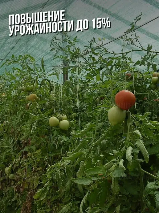 НАШЕ! Затеняющая сетка для теплиц и заборов 2х10м 80%, 2x10 м, фото 3