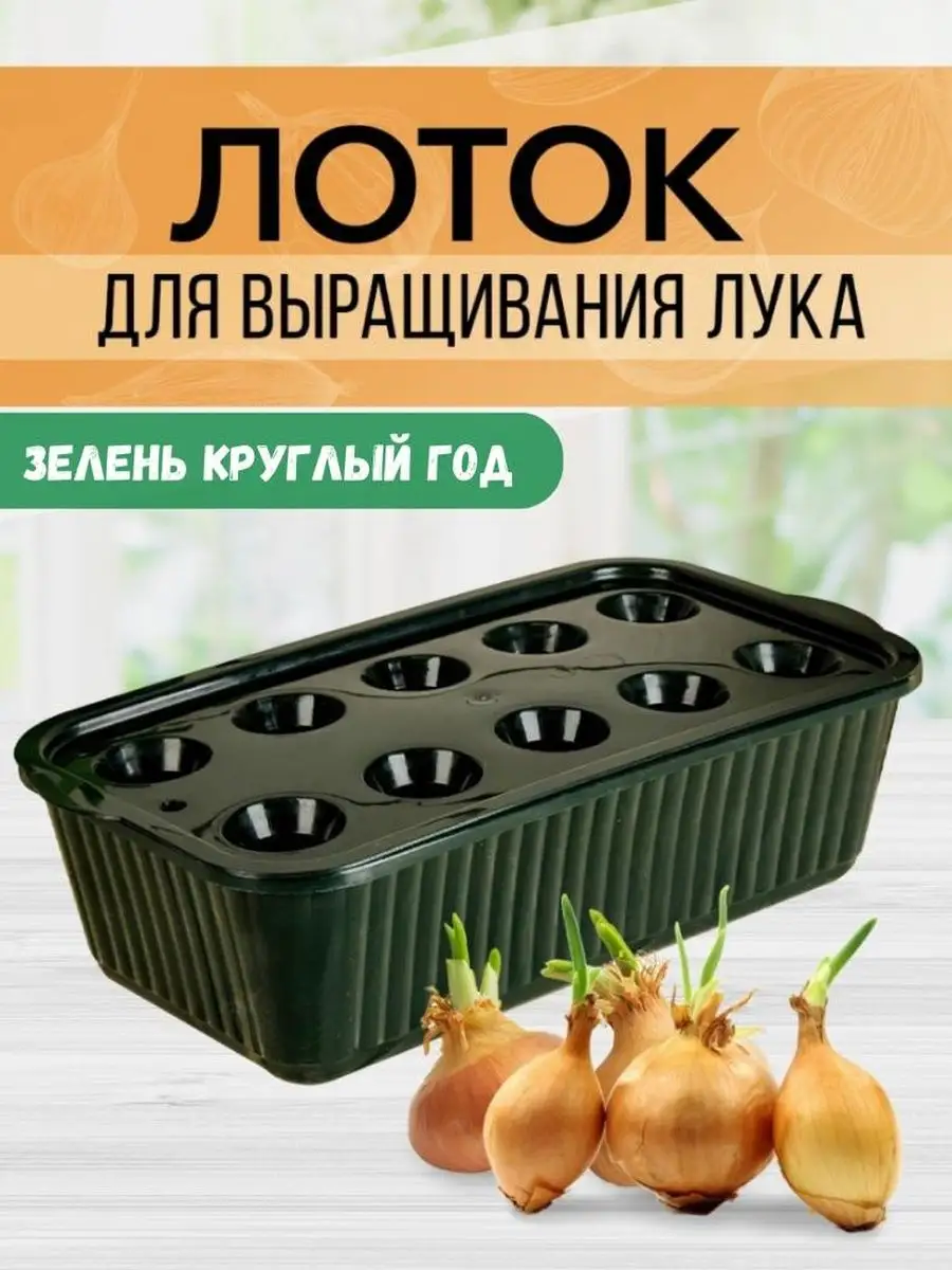 Лоток для выращивания зелёного лука