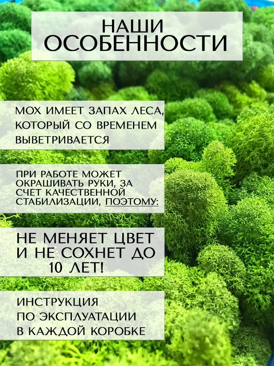 Мох стабилизированный ягель для декора, дизайна, озеленения Планета  Флористики 145000835 купить за 395 ₽ в интернет-магазине Wildberries