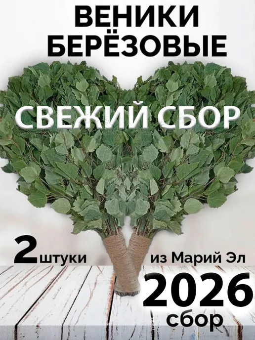 Банный веник дубовый Берёзовые веники для бани 2 штуки с ручкой из джута 2026 год, 2 шт