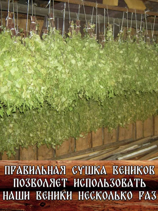 Банный веник дубовый Берёзовые веники для бани 2 штуки с ручкой из джута 2026 год, 2 шт, фото 5
