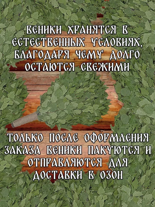 Банный веник дубовый Берёзовые веники для бани 2 штуки с ручкой из джута 2026 год, 2 шт, фото 6