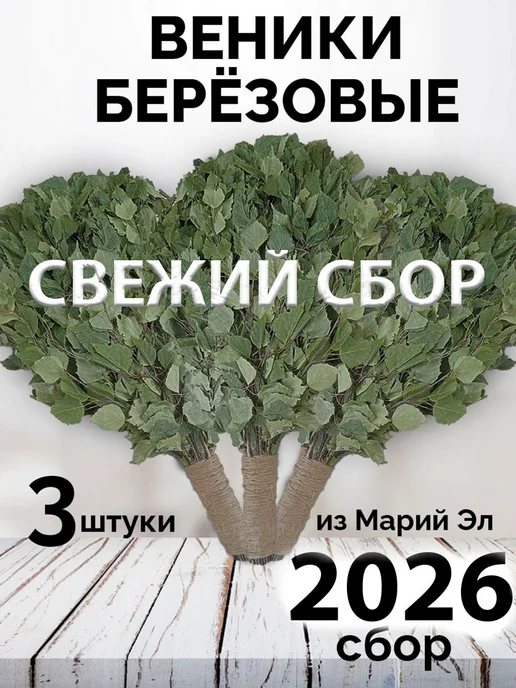 Банный веник дубовый Берёзовые веники для бани 3 штуки с ручкой из джута 2026, 3 шт