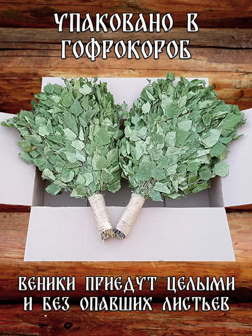 Банный веник дубовый Берёзовые веники для бани 3 штуки с ручкой из джута 2026, 3 шт, фото 3