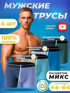 Трусы NosBery 145016116 купить за 357 ₽ в интернет-магазине Wildberries