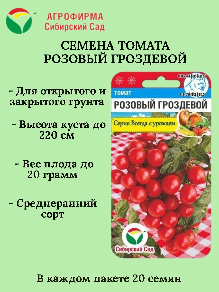 Сибирский гроздевой описание. Томат вишневый гроздевой. Томат вишневый гроздевой Сибирский сад. Томат Сибирский гроздевой Сибирский сад. Томат розовый гроздевой.