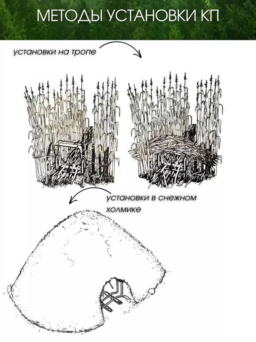 Советы бывалых по капканной ловле куниц.