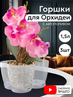 Горшок для орхидеи прозрачный, кашпо для цветов набор 3 шт. Tiko Home 145114233 купить за 459 ₽ в интернет-магазине Wildberries