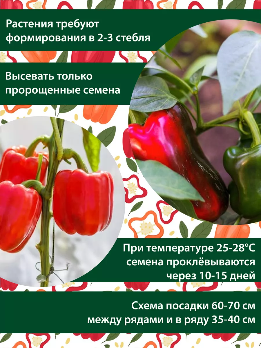 Семена Перец сладкий грунтовой Красный подснежник, F1, 10 шт Premium Seeds  145137660 купить за 159 ₽ в интернет-магазине Wildberries