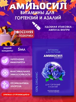 Интернет-магазин Wildberries: широкий ассортимент товаров - скидки каждый день!