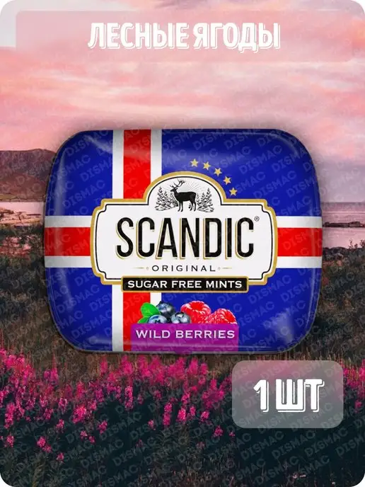 SCANDIC: купить товары бренда в интернет-магазине Wildberries