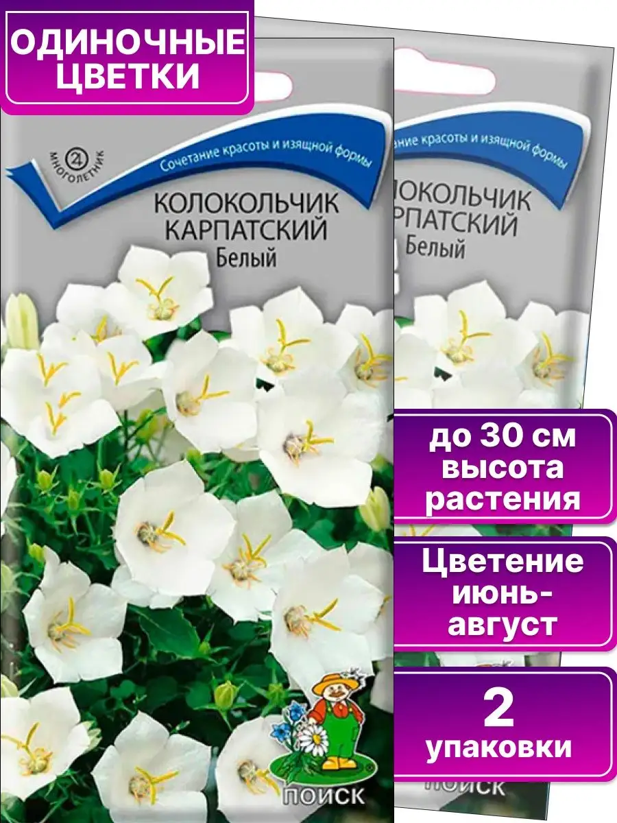 Семена цветов Колокольчик карпатский Белый ПОИСК 145150052 купить за 163 ₽  в интернет-магазине Wildberries