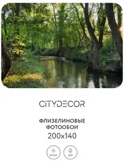 Фотообои CD Природа 93 200x140 см (винил на флизелине) CITYDECOR STUDIO 145168540 купить за 1 693 ₽ в интернет-магазине Wildberries