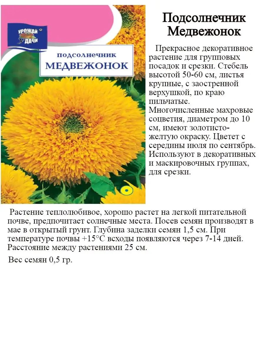 Семена подсолнечника декоративного Урожай Удачи 145265295 купить за 240 ₽ в  интернет-магазине Wildberries