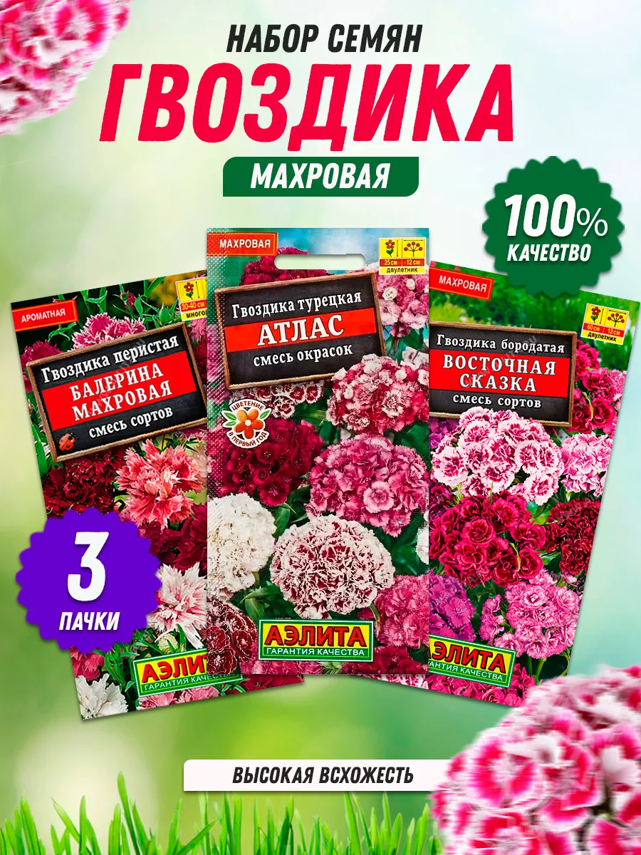 Семена цветов многолетних семена Гвоздики турецкой 3 шт Агрофирма Аэлита  145292223 купить за 270 ₽ в интернет-магазине Wildberries