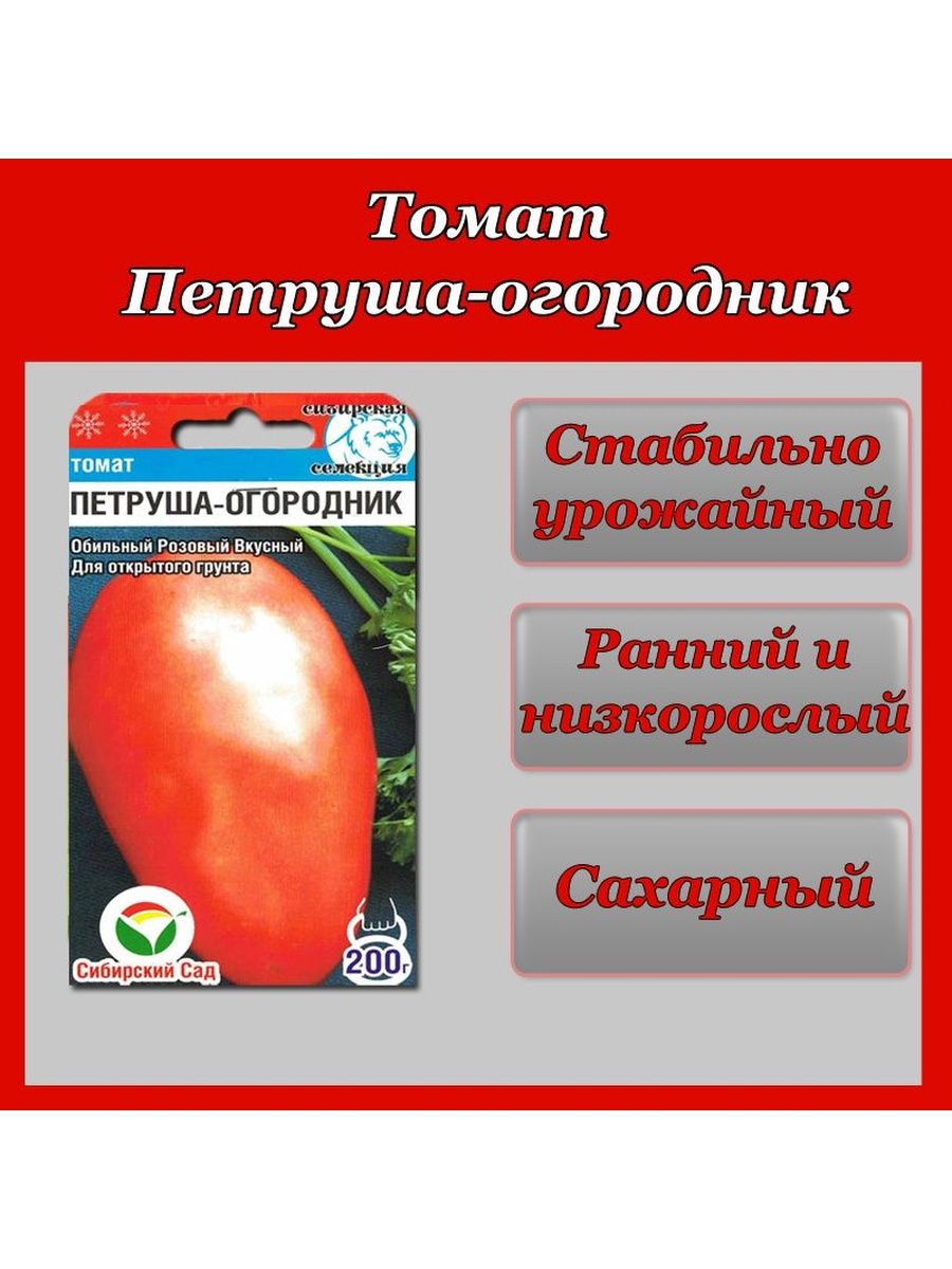 Помидоры петруша огородник описание сорта фото отзывы. Томат Петруша огородник Сибирский сад. Томат Петруша. Томат Бугай. Томат Бугай розовый.