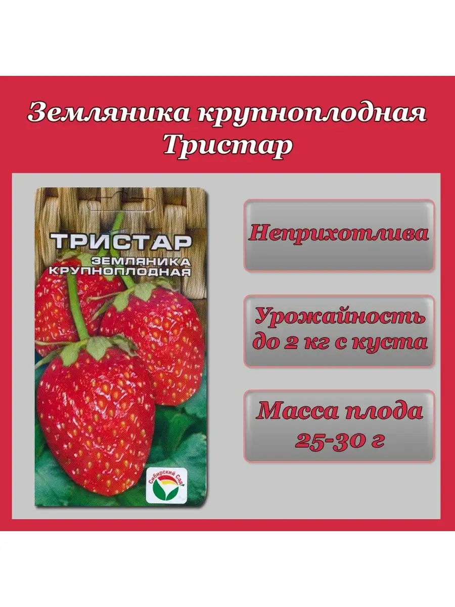 Клубника Тристар Сибирский сад 145297244 купить за 169 ₽ в  интернет-магазине Wildberries