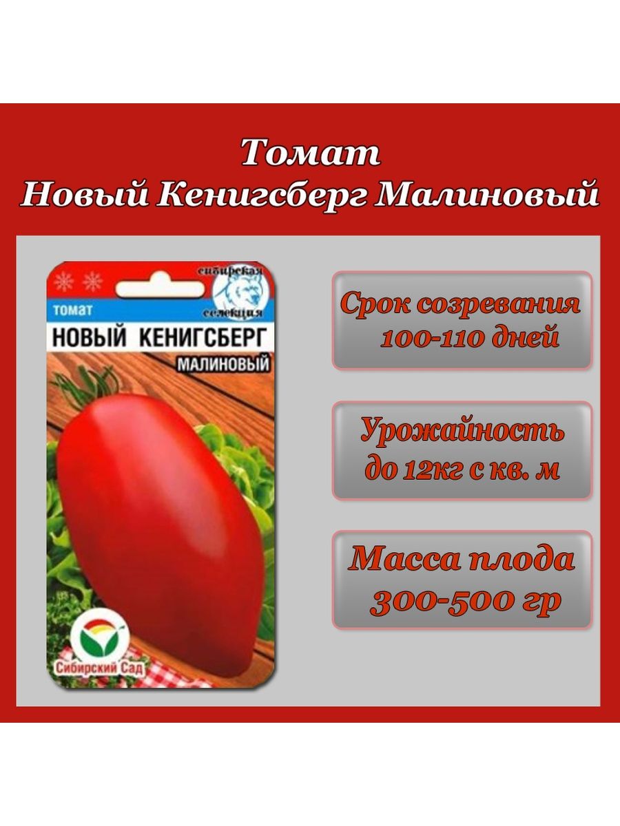 Томат Кенигсберг малиновый. Кенигсберг малиновый. Фото помидор новый Кенигсберг малиновый. Кенигсберг с малиной.