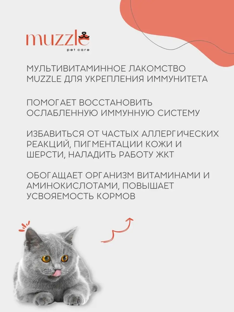 Витамины для кошек для иммунитета MUZZLE PET CARE 145315915 купить в  интернет-магазине Wildberries