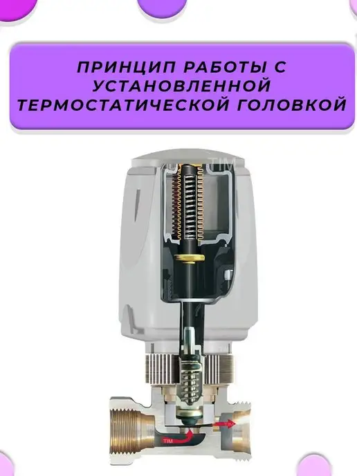 ZEISSLER Термостатический клапан прямой 1 2" (2 шт.), 2 шт, фото 5