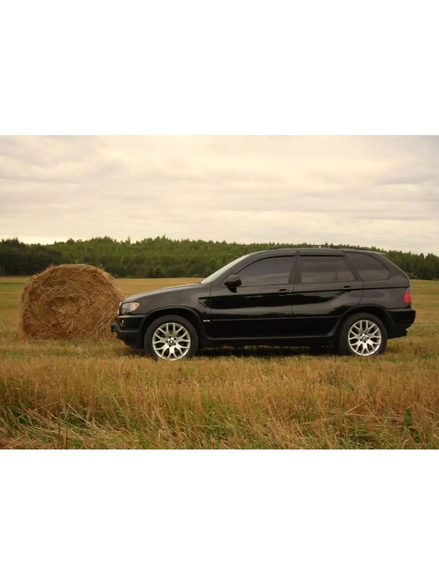 BMW X5 E53 1999-2006 год БМВ Х5 Е53 МАЙТОН 145361533 купить за 754 ₽ в  интернет-магазине Wildberries