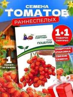 Томат Пуля черри Деловой Енот 255034649 купить за 139 ₽ в интернет-магазине Wildberries