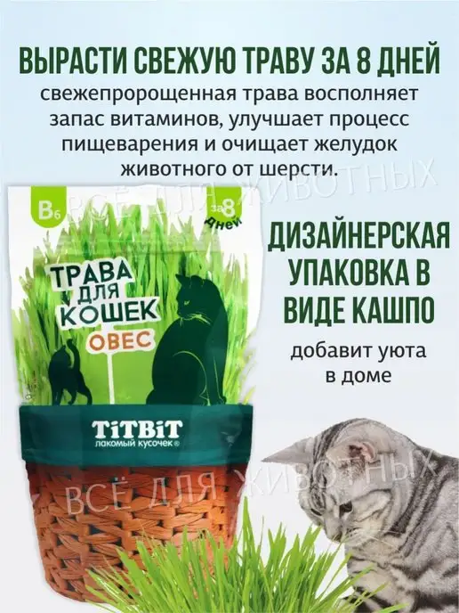 Titbit Трава для кошек овес свежая зелень витамины для животных, зеленый, фото 2