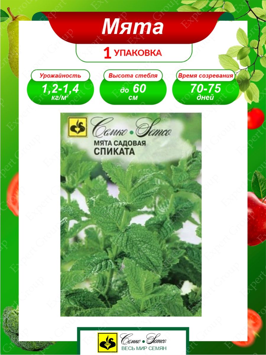 Семена Мята садовая Спиката Многолетние 0,05 гр. Семко 145398064 купить за  179 ₽ в интернет-магазине Wildberries