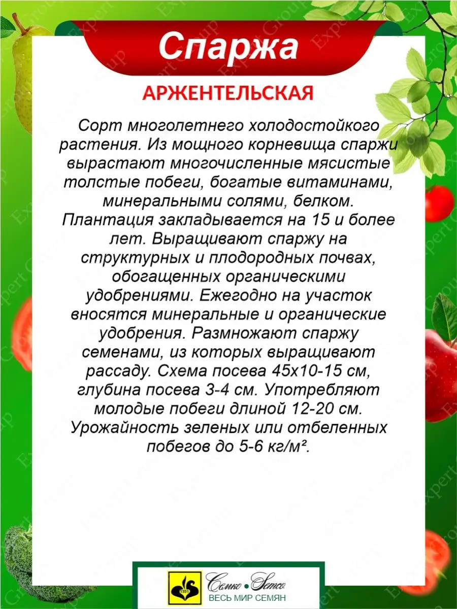 Семена Спаржа Аржентельская Многолетние 0,5 гр. х 2 уп. Семко 145398452  купить за 229 ₽ в интернет-магазине Wildberries