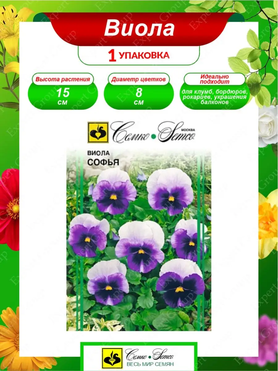 Семена Виолы Купить В Интернет Магазине
