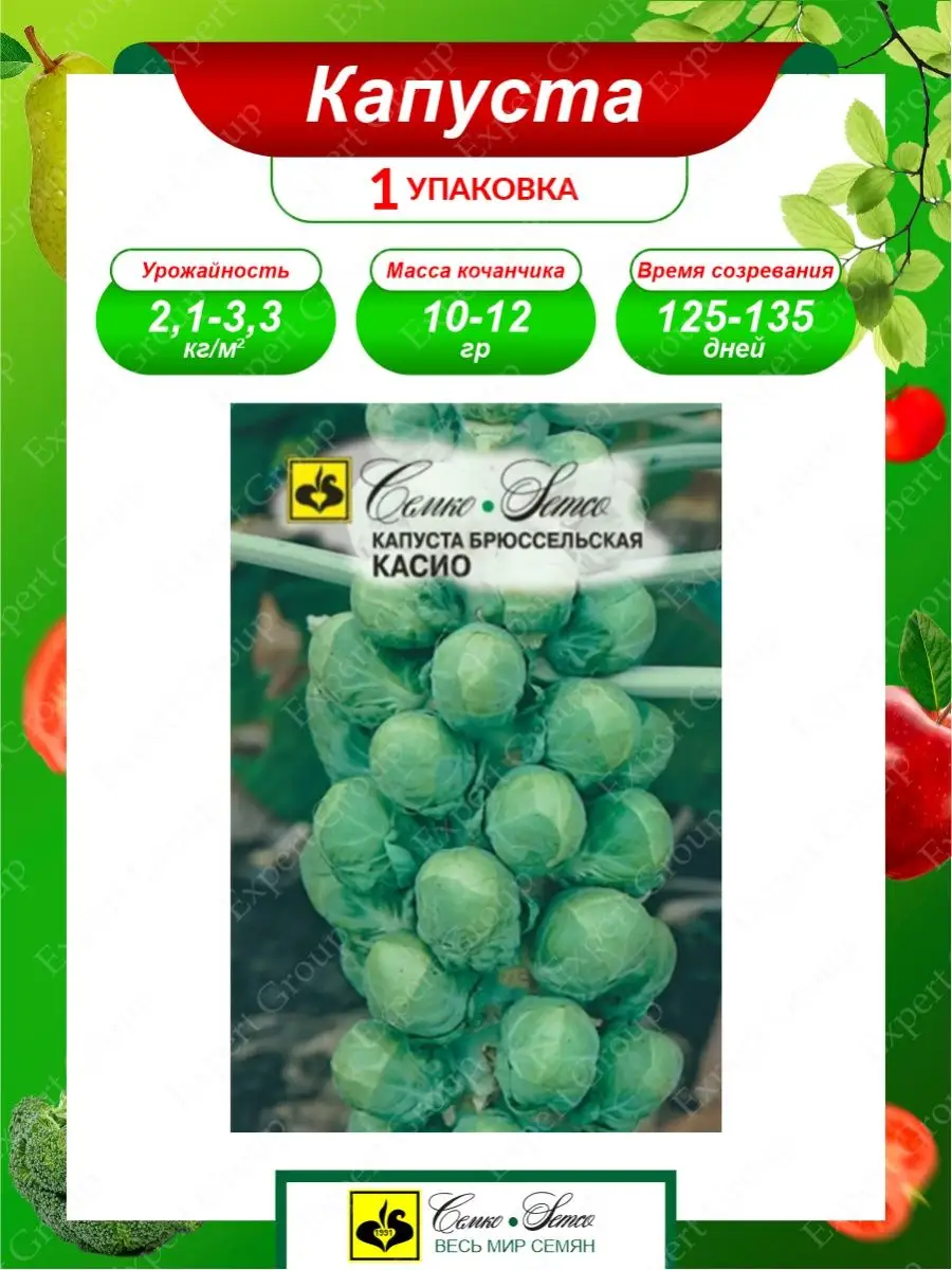 Семена Капуста брюссельская Касио среднеспелые 0,5 гр. Семко 145406425  купить за 149 ₽ в интернет-магазине Wildberries