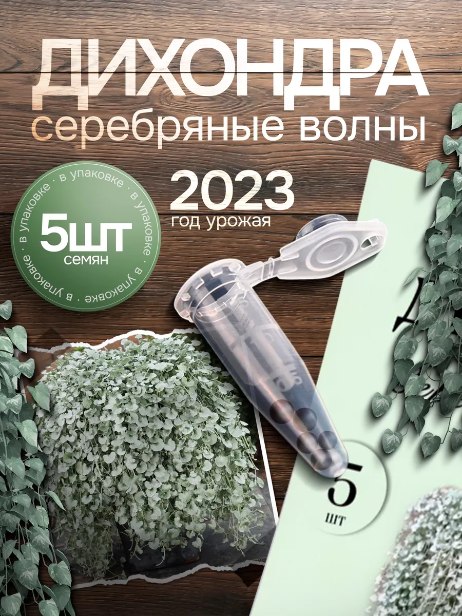 Дихондра серебристая ампельная Seeds Plants 145413398 купить за 199 ₽ в  интернет-магазине Wildberries