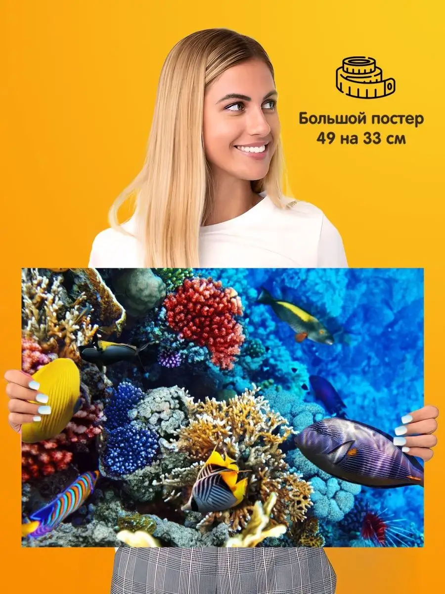 Постер плакат Fish Рыба