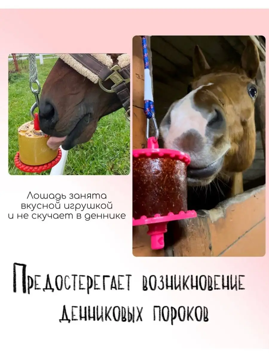 Держатель для лизунца / игрушка для лошади / ликит ZOO STUFF 145549576  купить за 920 ₽ в интернет-магазине Wildberries