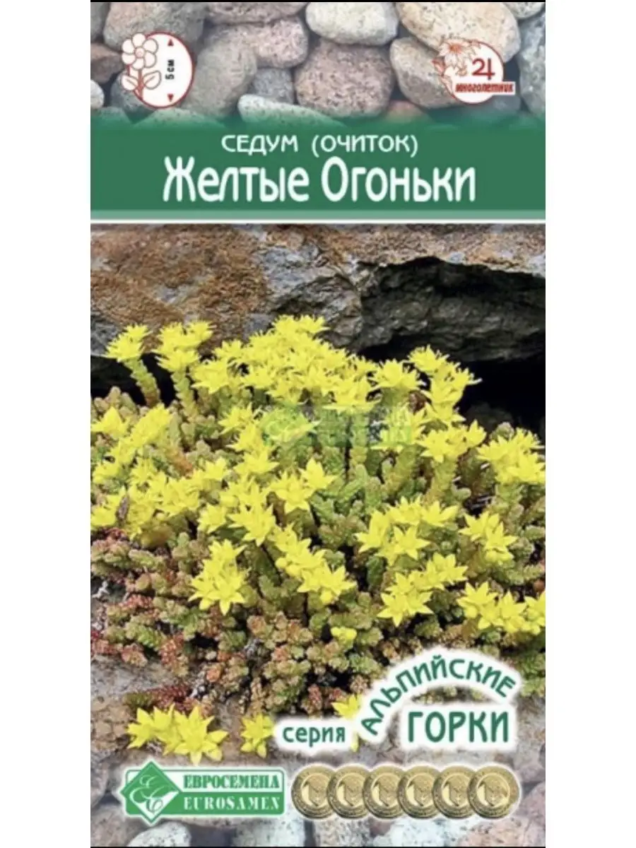 Седум (Очиток) «Желтые Огоньки» евросемена Стильные цветы 145565797 купить  за 408 ₽ в интернет-магазине Wildberries