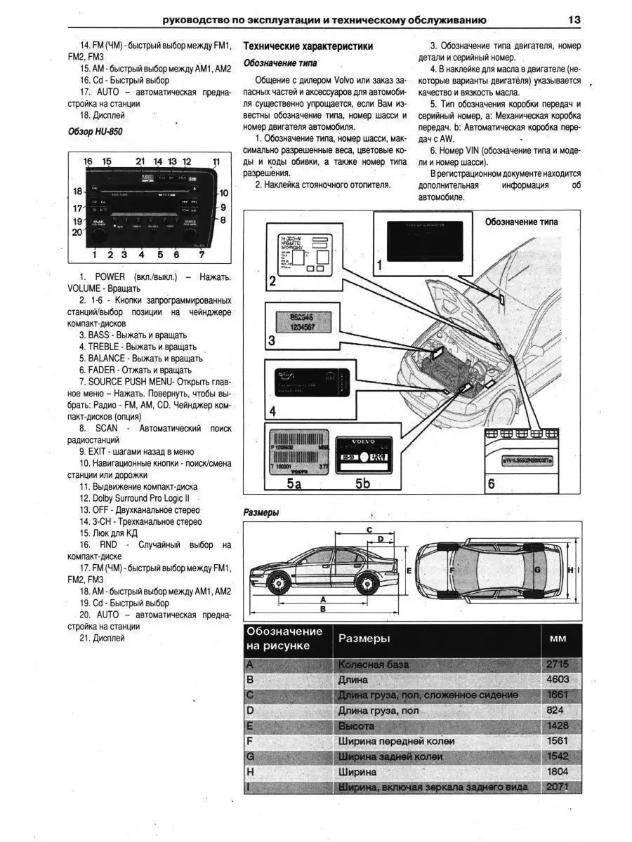 Физика в мире животных: дятел и его «отбойный молоток» / Хабр