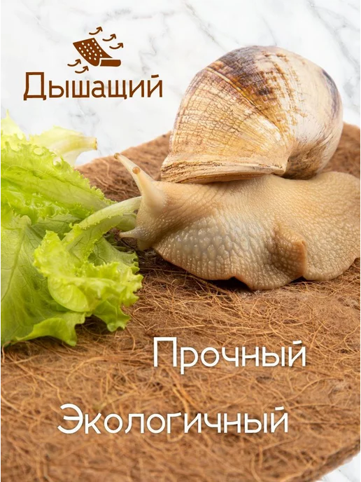Happi fox Укрытие из кокосового волокна для рептилий и грызунов, желтый, фото 3