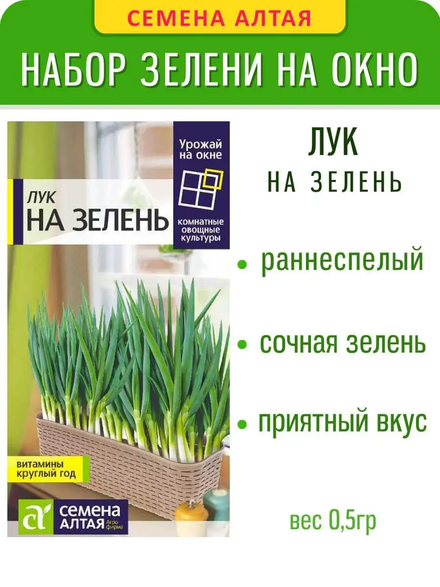 Балконная зелень урожай на окне Семена Алтая 145613977 купить за 132 ₽ в  интернет-магазине Wildberries