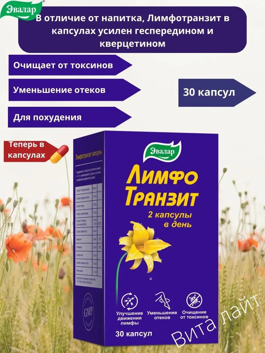 Лимфотранзит Купить В Челябинске В Аптеке