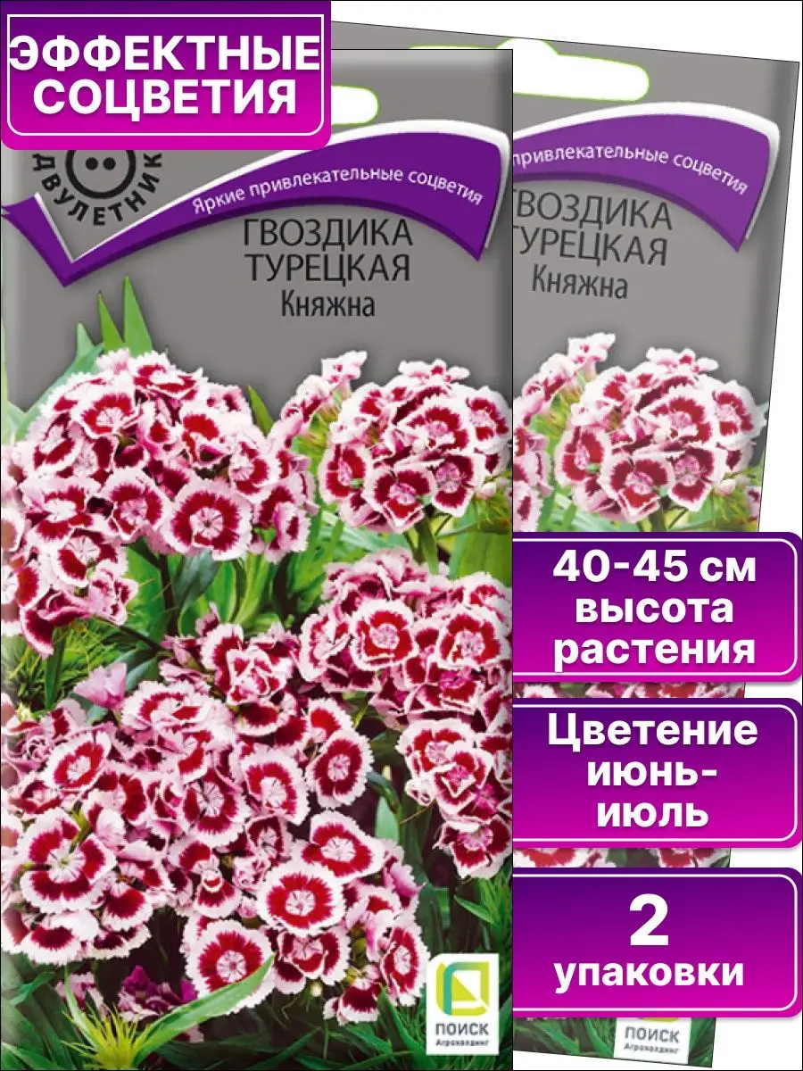 Семена цветов / Гвоздика турецкая Княжна / 2 упаковки ПОИСК 145631142  купить за 155 ₽ в интернет-магазине Wildberries