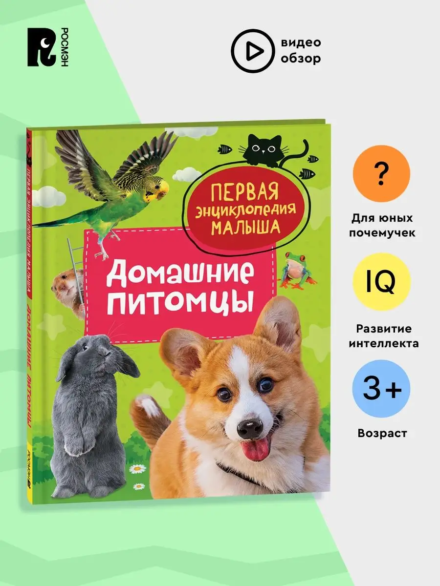 Видеопаспорт