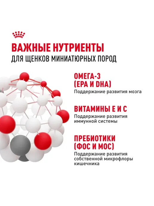 Сухой корм Royal canin для собак, мелкие, щенки, 1,5 кг, фото 5