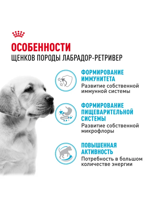 Сухой корм Royal canin Лабрадор для собак, щенки, 12 кг, фото 2
