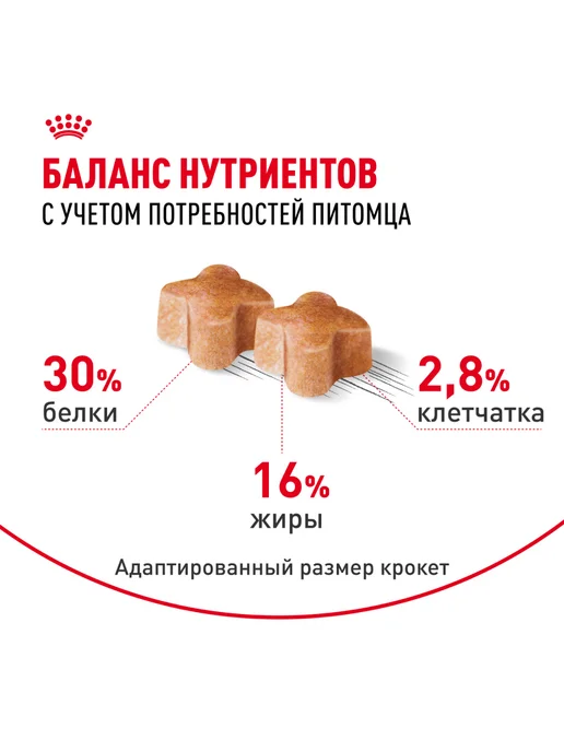 Сухой корм Royal canin Лабрадор для собак, щенки, 12 кг, фото 4