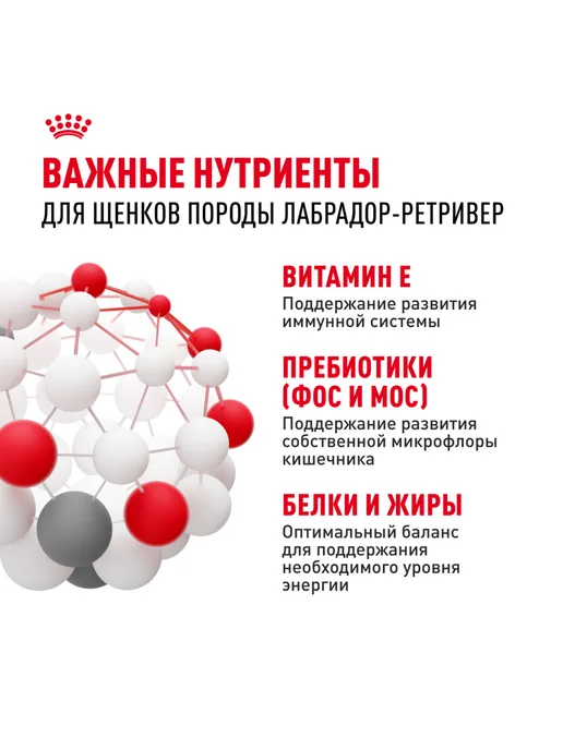 Сухой корм Royal canin Лабрадор для собак, щенки, 12 кг, фото 5